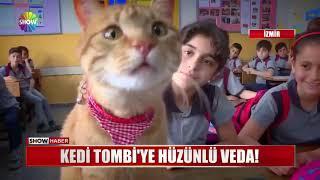 Kedi Tombi'ye hüzünlü veda!