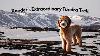 Xander’s Tundra Trek Adventure: An Arctic Journey for Curious Kids!