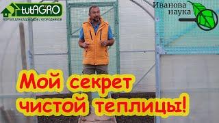 ЧТО ДЕЛАТЬ В ТЕПЛИЦЕ ПОСЛЕ УБОРКИ УРОЖАЯ: мойка, дезинфекция, обеззараживание и сидерация по шагам.