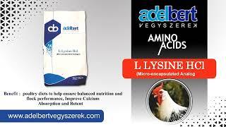 L Lysine HCL #Poultry Feed Additive | Livestock #Health & #Nutrition Encapsulated #Analogue #Lysine