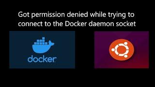 How to fix docker: Got permission denied issue