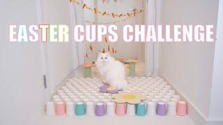 Cats vs Cups |  Easter Challenge | Happy Easter