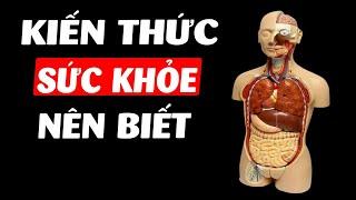 Toàn bộ kiến thức về Sức khỏe bạn nên xem