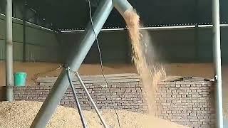 Grain Screw Conveyor - Wheat 5 tons per hour