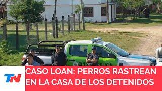 CASO LOAN: HORAS DECISIVAS: perros rastrean la casa de los detenidos buscando a Loan