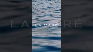 Luxury Waterfront Living in Miami | La Mare Residences Bay Harbor Islands | New Construction #shorts