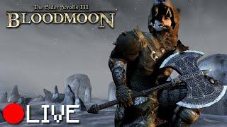 LIVE: BLOODMOON BEGINS! (Blind Playthrough of Morrowind's DLC)