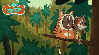 A lion and a tiger | Zip Zip English | Full Episodes | 2H | S1 | Cartoon for kids