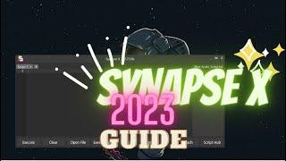 How To Use Synapse X 2023