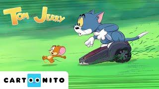 TOM VE JERRY | Çifte Sorun | #YENİ Çizgi Film | @CartoonitoTurkiye