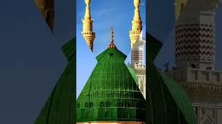 Madine Ja Ke Samjhe | Sayyed Hassan Ullah Hussaini | #madina #naat #shorts #ytshorts #status