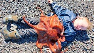 Hunting Giant Octopus, Fishing & Costal Foraging - 3 Day Camping Catch & Cook Adventure in Alaska