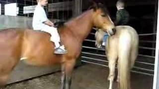 Boys riding their horses