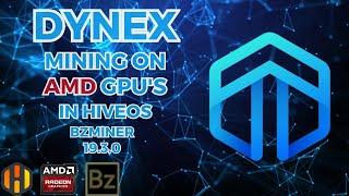 Dynex (DNX) GPU Mining Guide - DynexSolve - AMD - HiveOS - BzMiner
