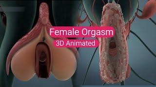 Female Orgasm| The Power of Her Pleasure: Exploring Female Orgasms| 3D Animated