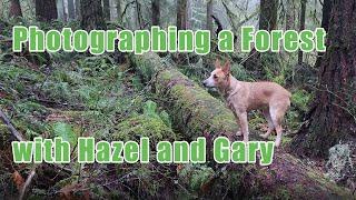 Gary and Hazel Walk in The Forest - Photographing a Forest Scene