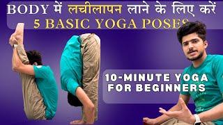 BODY में लचीलापन लाने के लिए करें 5 BASIC योगासन  || Yoga for Beginners || 5 BASIC YOGA POSES