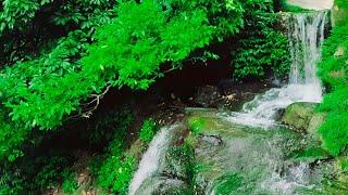 Comilla to Chottogram Hwy Roud (Suptadhara Waterfalls)  Bangladesh