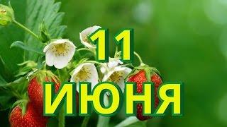 11 июня День пивовара в России и другие праздники...