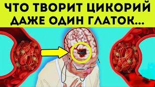 Вот что творит ЦИКОРИЙ, если пить каждый день! | Цикорий польза и вред