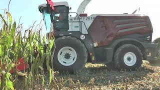 Rostselmash RSM F 2650 maize demo with Lely Tigo