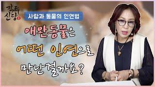 261화_반려동물은 어떤 인연으로 오나요? | 동물과 인간도 인연법으로 만나요! 