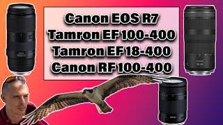 Canon R7 | Tamron 100-400mm Vs Tamron 18-400mm Vs Canon RF 100-400mm Lenses | Wildlife Photography