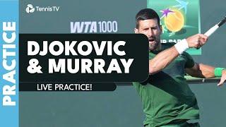 LIVE: Novak Djokovic & Andy Murray Practice in Indian Wells!