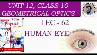 Human eye | structure of human eye | human eye class 10 physics