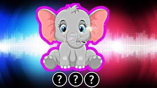 15 Elephant Sound Variations in 60 Seconds