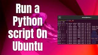 How to run a Python script On Ubuntu 22.04 LTS / Ubuntu 24.04 LTS Linux