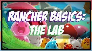 Slime Rancher Basics : The Lab (Slime Science)