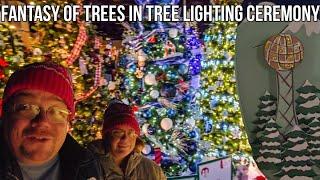 2024 Fantasy of Trees & Regal Celebration of lights Knoxville / Fireworks / Tree Decorations