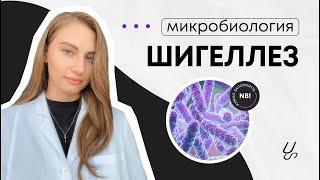 Микробиология | Шигеллез | Shigella spp.