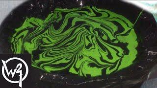 New!!! Samurai spray paint Water Transfer Hydrodipping Hydrographic water painting