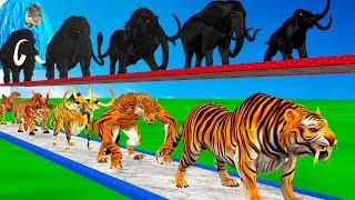 choose the right fountian tiger wolf mammoth elephant zombie bulls paint animals size comparison