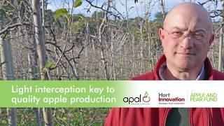 Stefano Musacchi: Light interception key to quality apple production