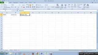 Microsoft Office Excel 2010 Drag and Drop