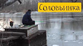 "Соловьинка" замерзла . Тарань есть . Г. Запорожье 07.02.21г.