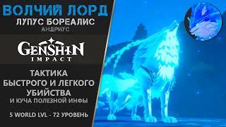 Волчий лорд. Большая тактика лёгкого сражения. Лупус Бореалис. Андриус. | Genshin Impact