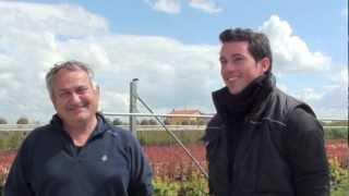 Erasmus for Young Entrepreneurs - Servando & Gilberto Success Story