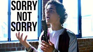 Demi Lovato - Sorry Not Sorry (Cover by Alexander Stewart)