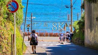 [Seaside town that suits youth] 10 scenic spots in Enoshima - JAPAN in 8K