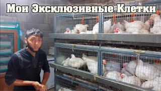 Мои Эксклюзивные Клетки для Бройлеров!!!