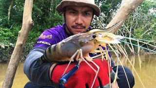 GEMETARAN SELURUH TUBUH !! UDANG TERBESAR DI DUNIA BERHASIL SAYA TANGKAP, MANCING TERBAIK 2025