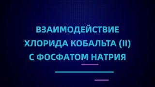 Взаимодействие хлорида кобальта (II) с фосфатом натрия | ЕГЭ по химии