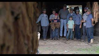 Perique Tobacco - Hester, Louisiana