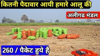 T9 आलू की पैदावार कितनी आयी || 260 पैकेट  निकले | real tech farming #potatofarming #farming #aalu