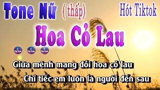 Hoa Cỏ Lau karaoke Tone Nữ Thấp Phong Max Hot tiktok