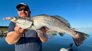 MONSTER Speckled Trout in this Community Hole!